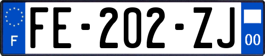 FE-202-ZJ