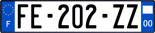 FE-202-ZZ