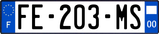 FE-203-MS