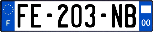 FE-203-NB