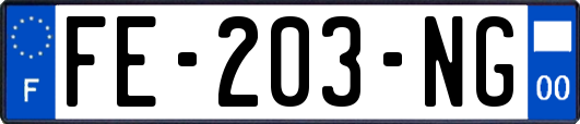 FE-203-NG