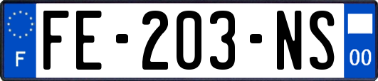 FE-203-NS