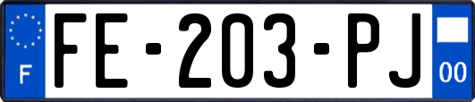 FE-203-PJ