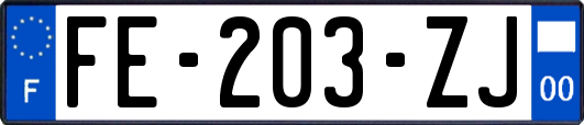 FE-203-ZJ