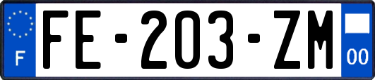 FE-203-ZM