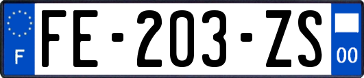 FE-203-ZS