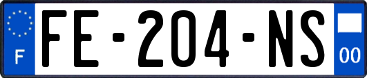 FE-204-NS