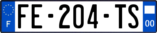 FE-204-TS