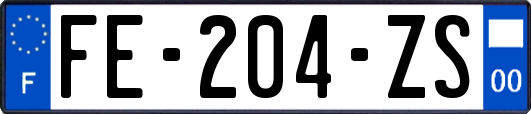 FE-204-ZS