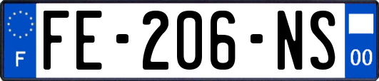 FE-206-NS