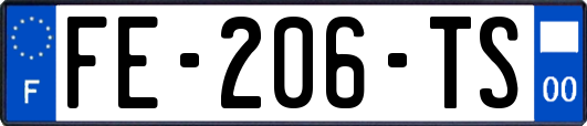 FE-206-TS