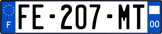 FE-207-MT