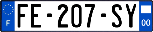 FE-207-SY