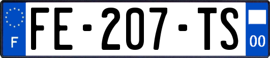 FE-207-TS