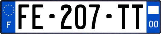 FE-207-TT
