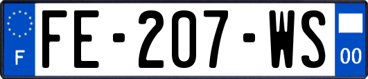 FE-207-WS