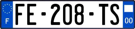 FE-208-TS