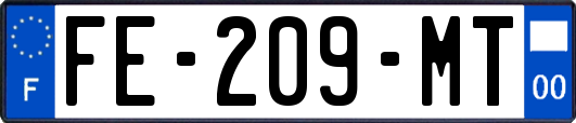 FE-209-MT