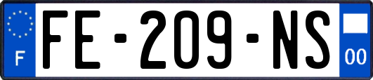 FE-209-NS