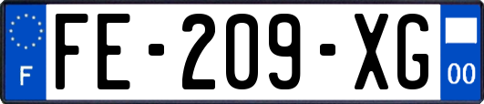 FE-209-XG