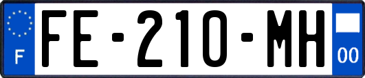 FE-210-MH