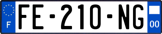 FE-210-NG