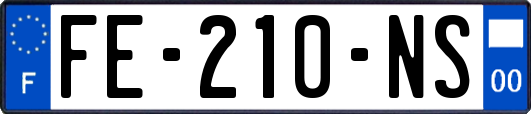 FE-210-NS