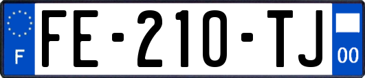 FE-210-TJ