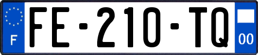 FE-210-TQ