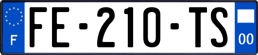 FE-210-TS