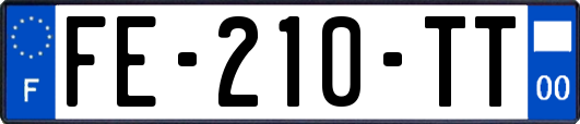 FE-210-TT