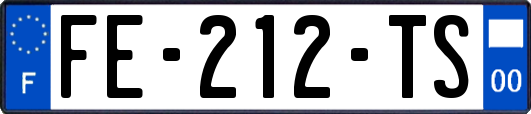 FE-212-TS