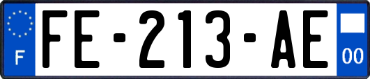 FE-213-AE