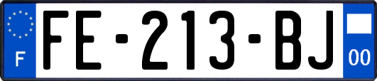 FE-213-BJ