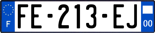 FE-213-EJ