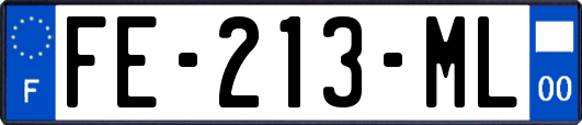 FE-213-ML