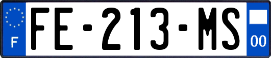 FE-213-MS