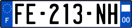 FE-213-NH