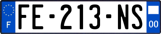 FE-213-NS