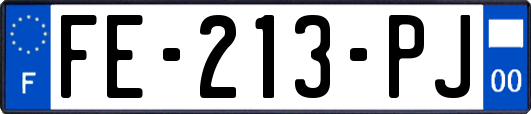 FE-213-PJ