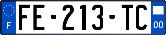 FE-213-TC