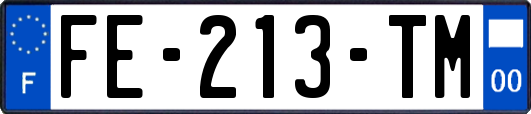 FE-213-TM