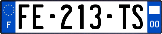 FE-213-TS