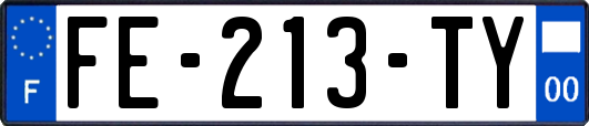 FE-213-TY