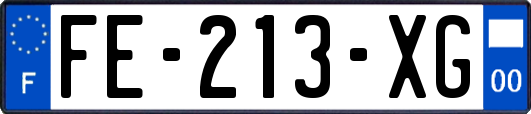 FE-213-XG