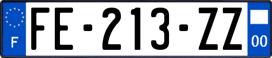 FE-213-ZZ