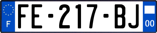 FE-217-BJ