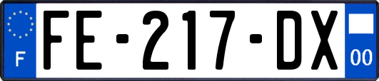 FE-217-DX
