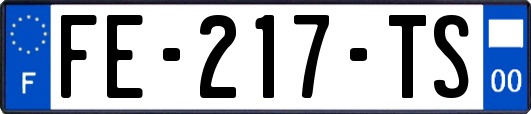 FE-217-TS