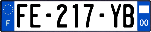 FE-217-YB